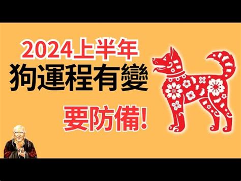 1982屬狗十年運勢|【1982生肖狗】1982生屬狗，2024限量運勢解析！讓你避兇趨吉。